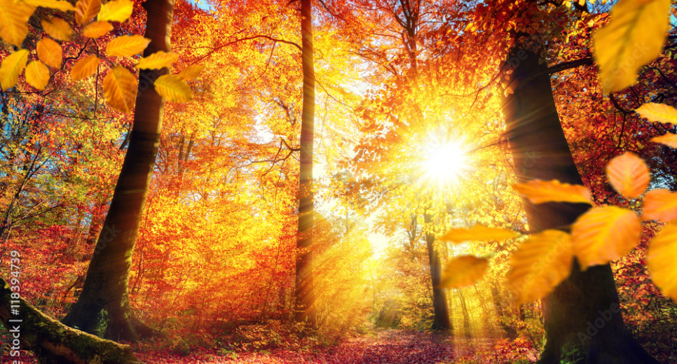 Autumn